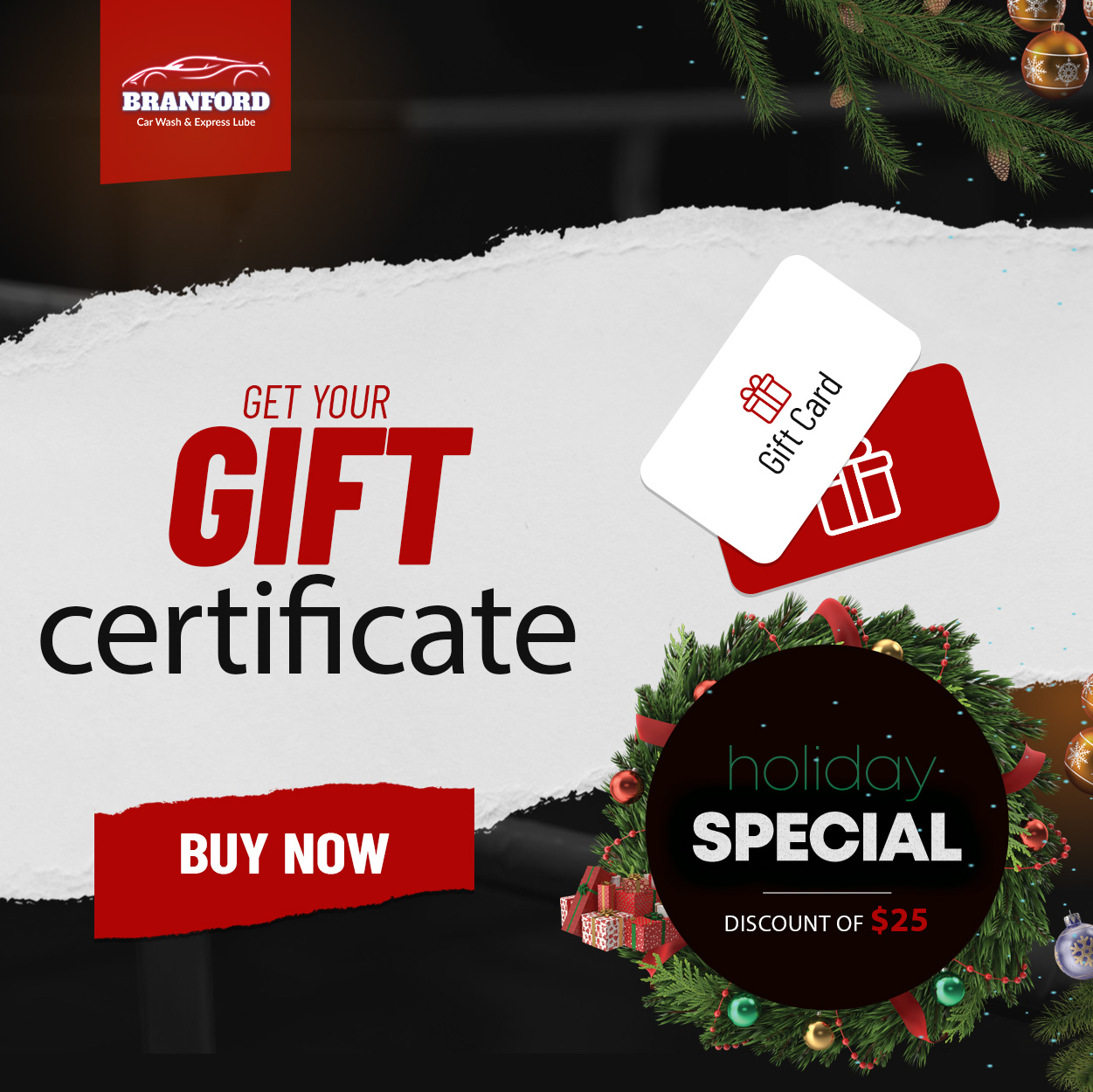 HOLIDAY SPECIAL DISCOUNT $25